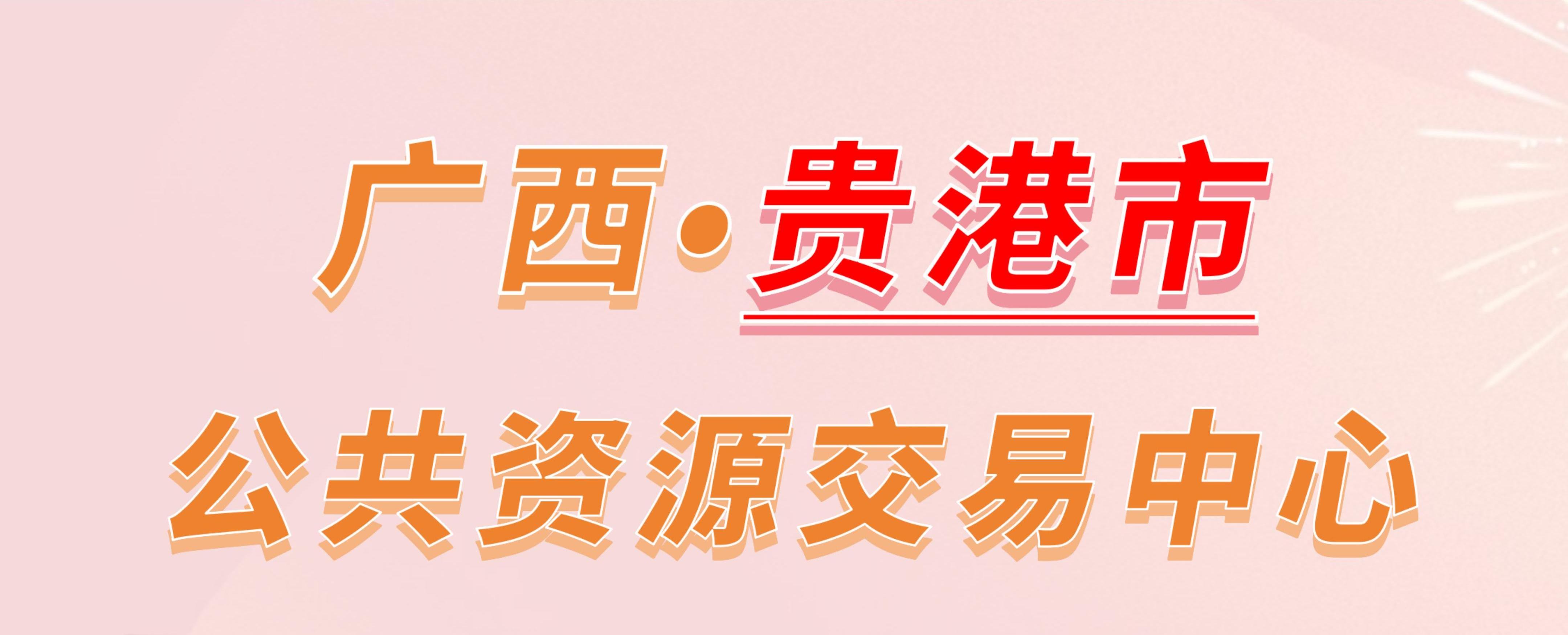 广西贵港市公共资源交易中心电子投标流程
