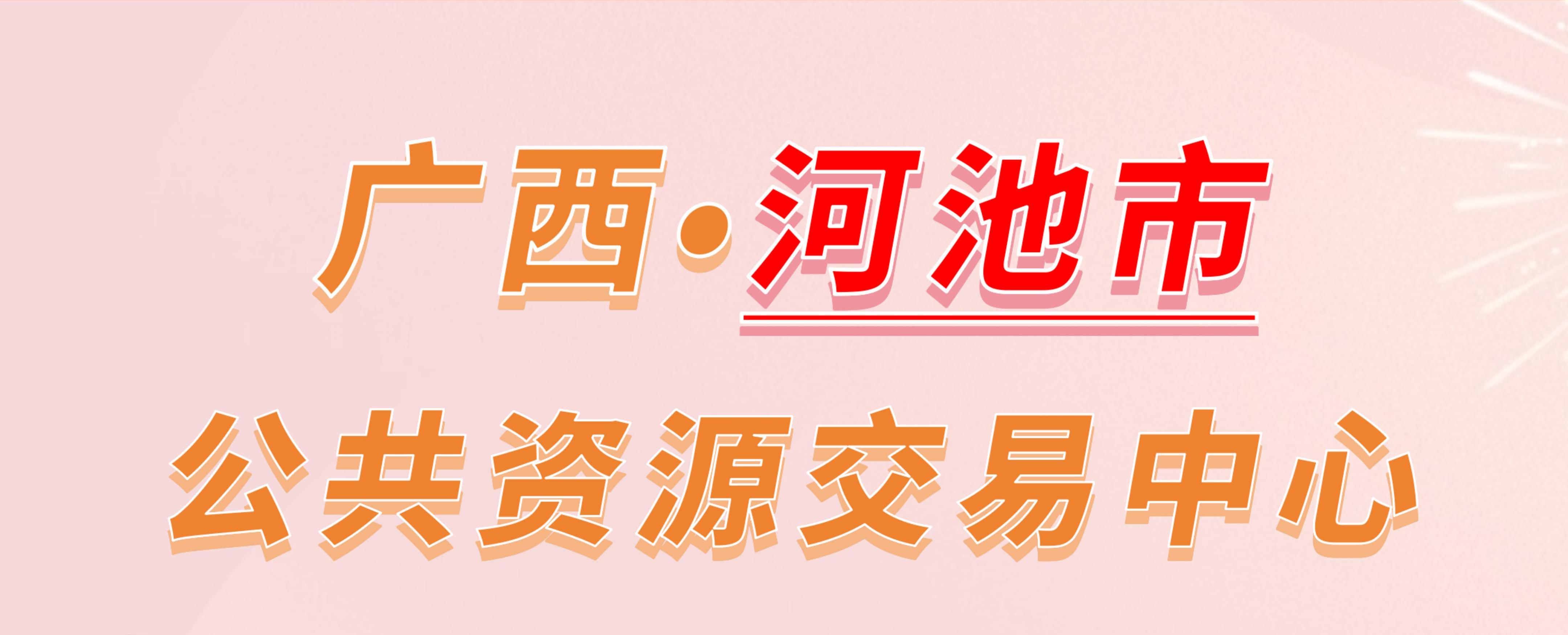 广西河池市公共资源交易中心电子投标流程