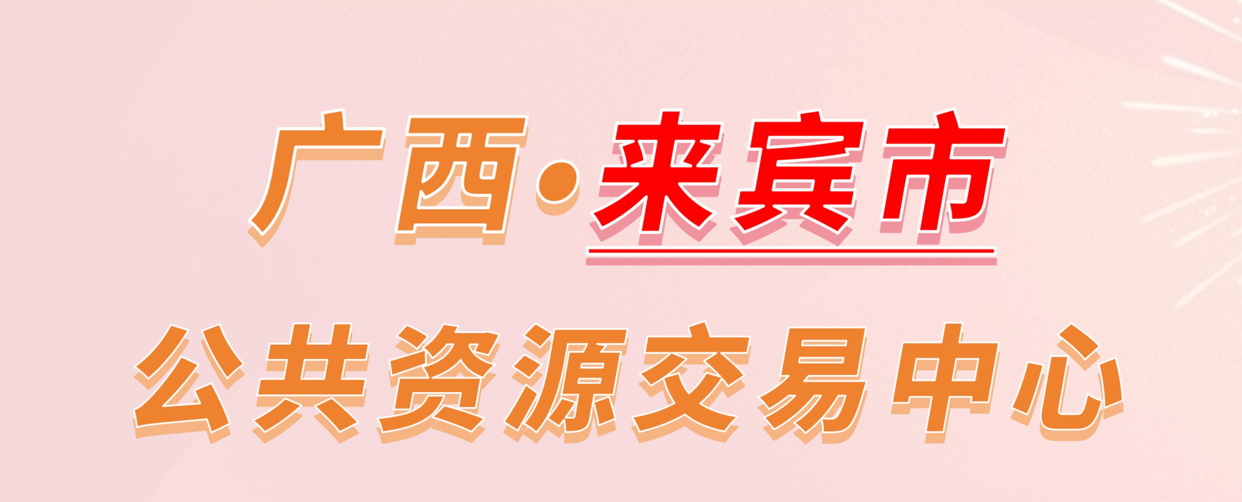 广西来宾市公共资源交易中心电子投标流程