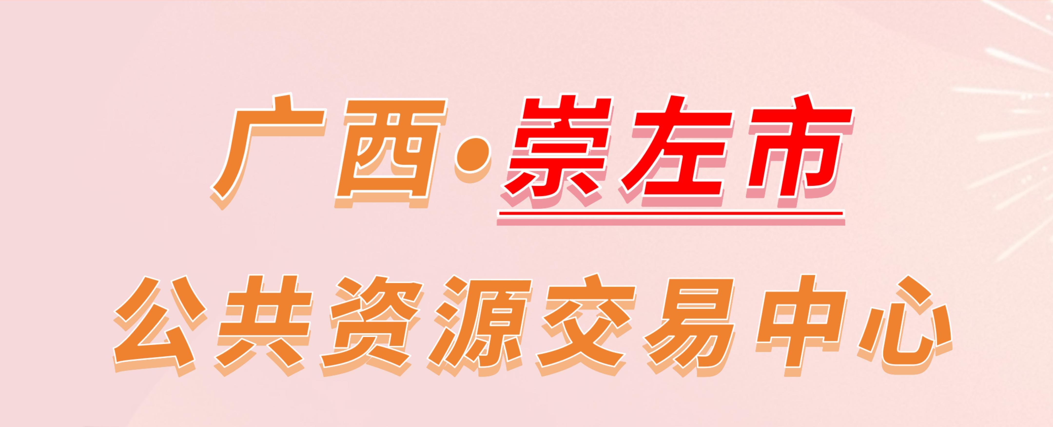 广西崇左市公共资源交易中心电子投标流程