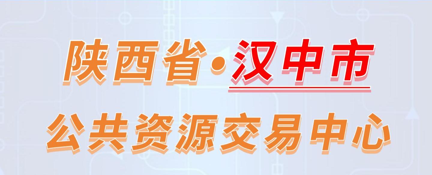 陕西省汉中市公共资源交易中心电子投标流程
