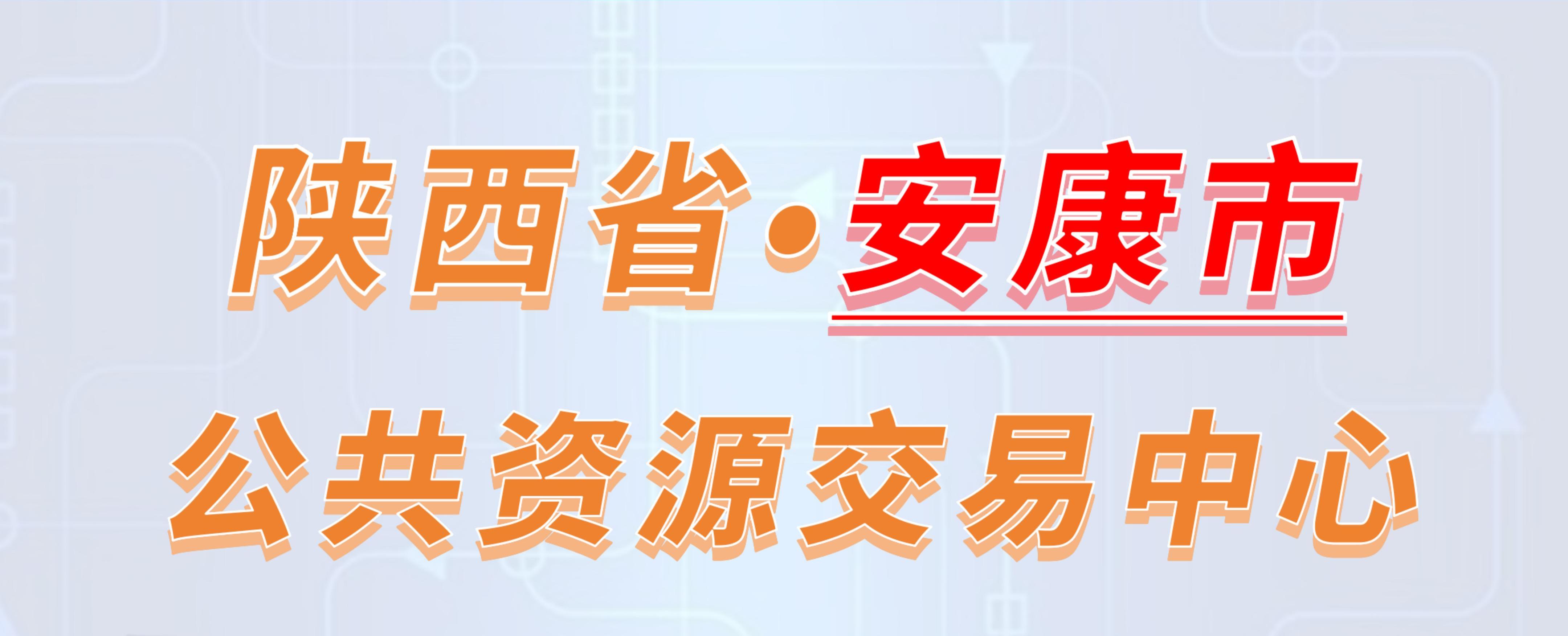 陕西省安康市公共资源交易中心电子投标流程