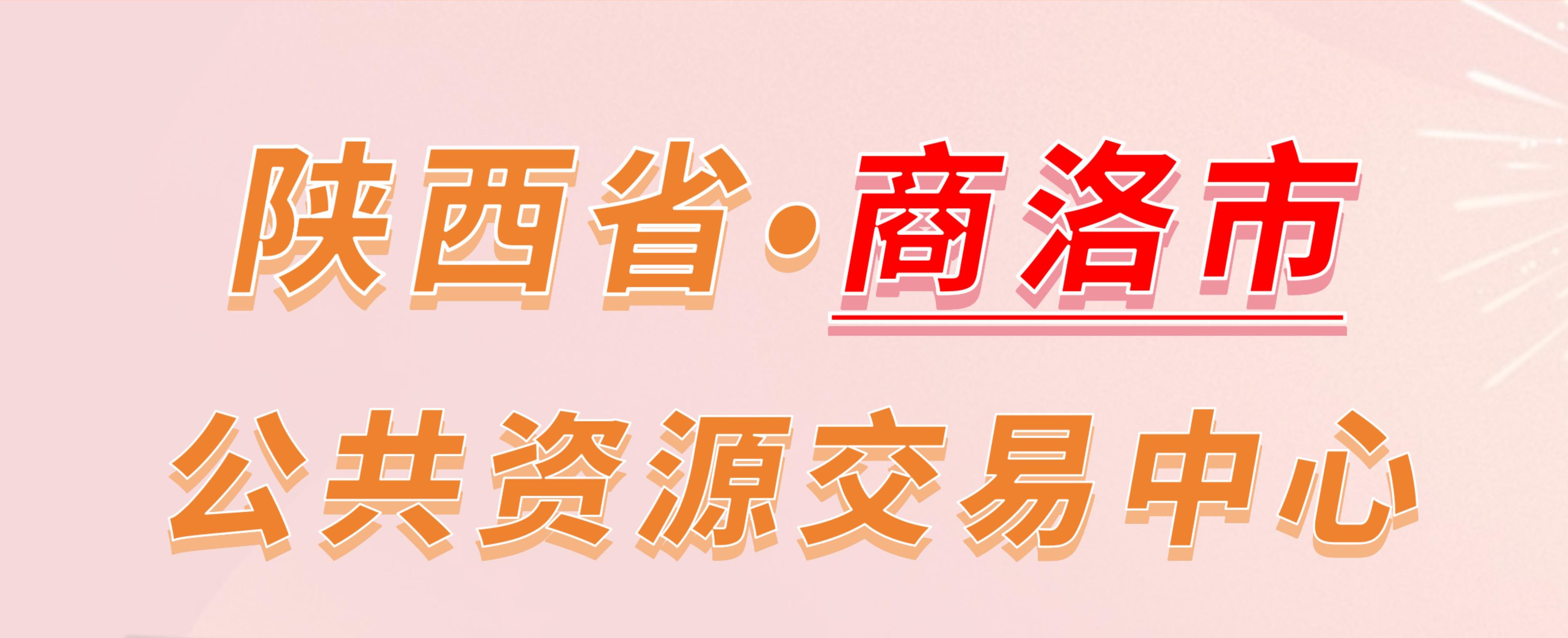 陕西省商洛市公共资源交易中心电子投标流程