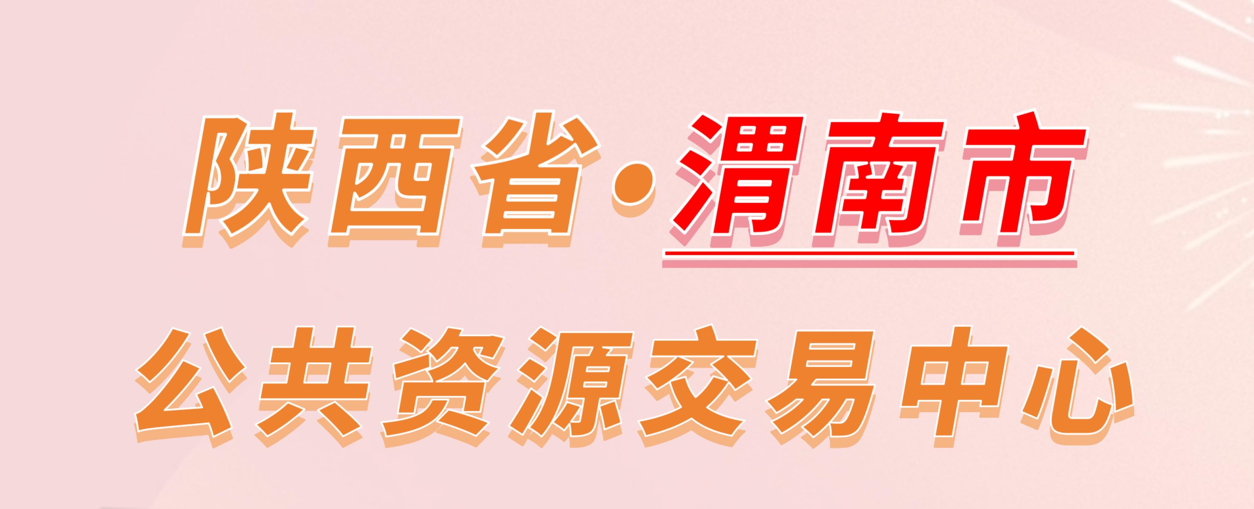 陕西省渭南市公共资源交易中心电子投标流程