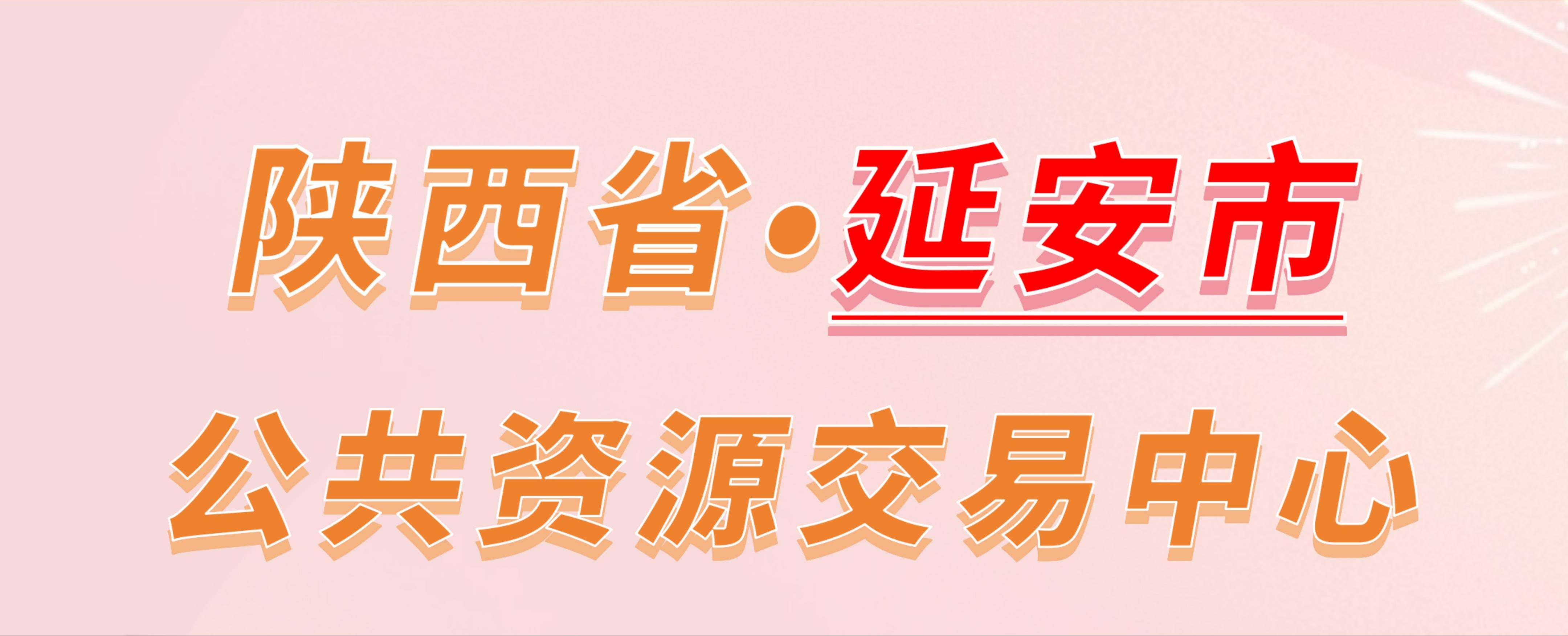 陕西省延安市公共资源交易中心电子投标流程