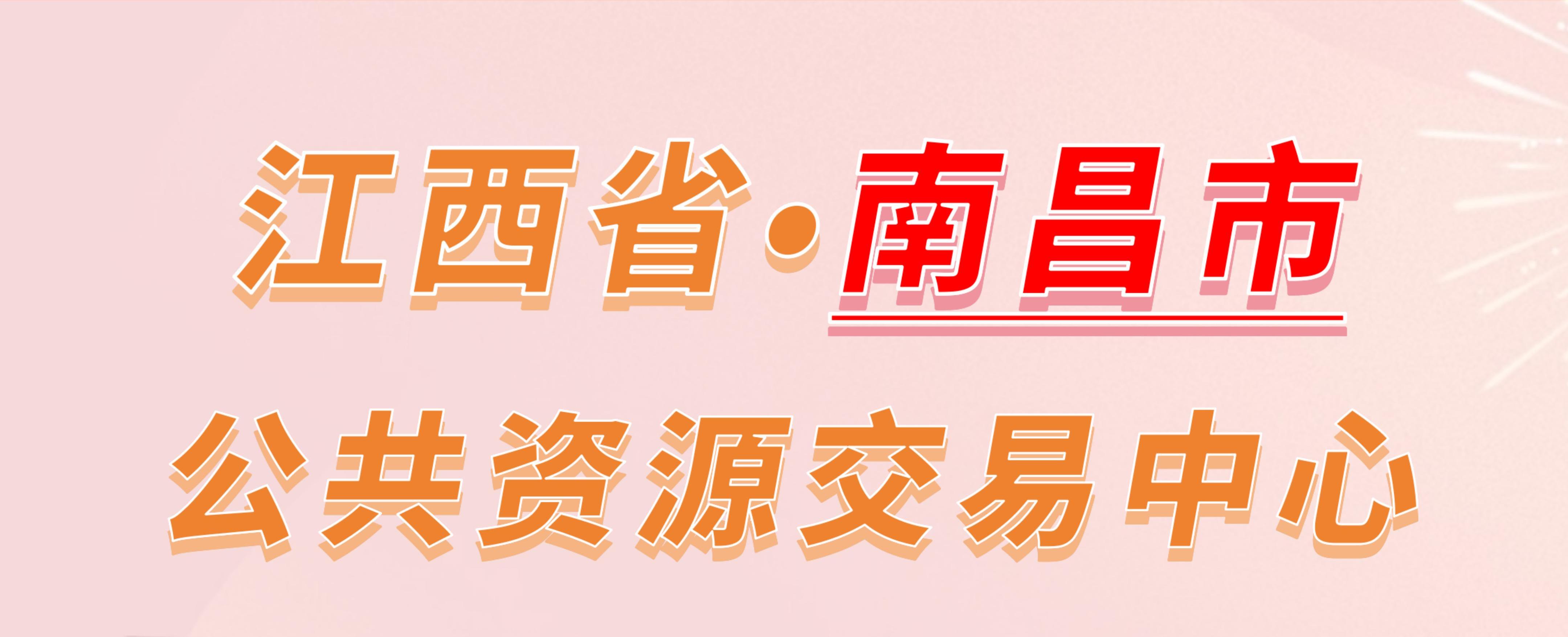 江西省南昌市公共资源交易中心电子投标流程