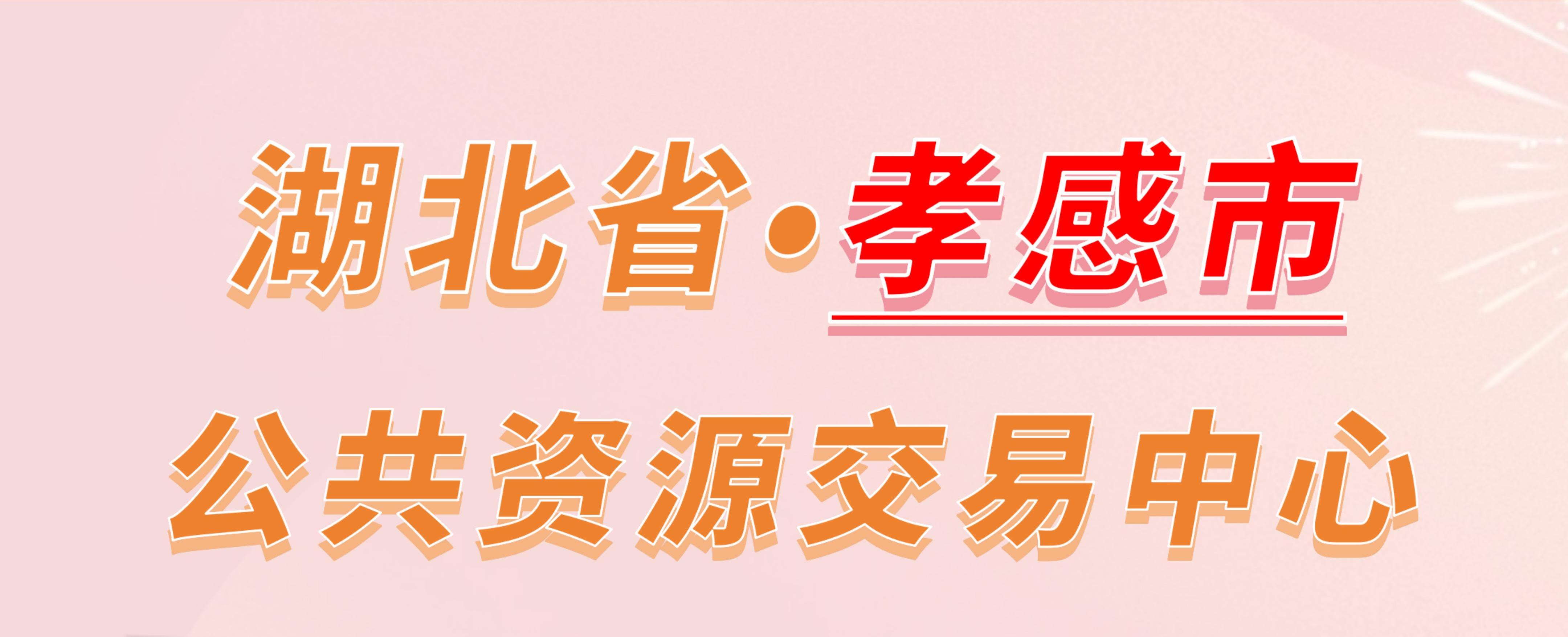 湖北省孝感市公共资源交易中心电子投标流程