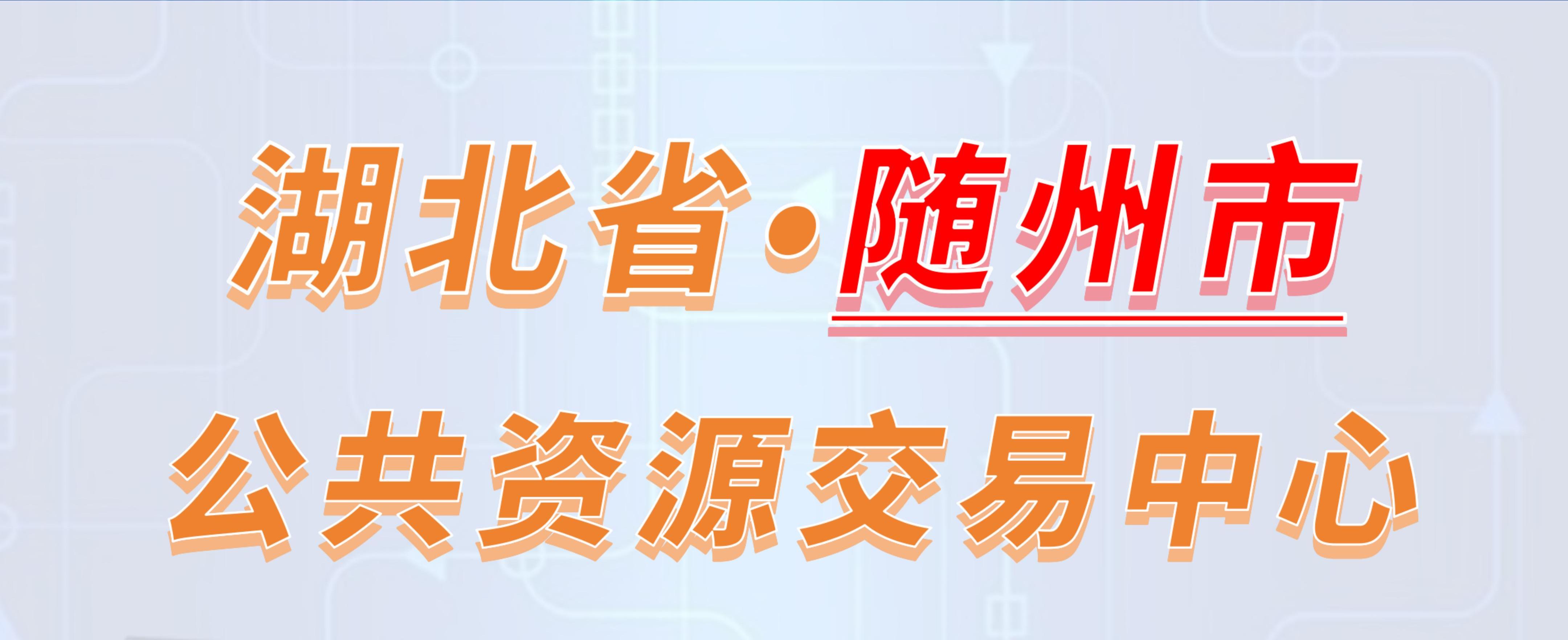 湖北省随州市公共资源交易中心电子投标流程