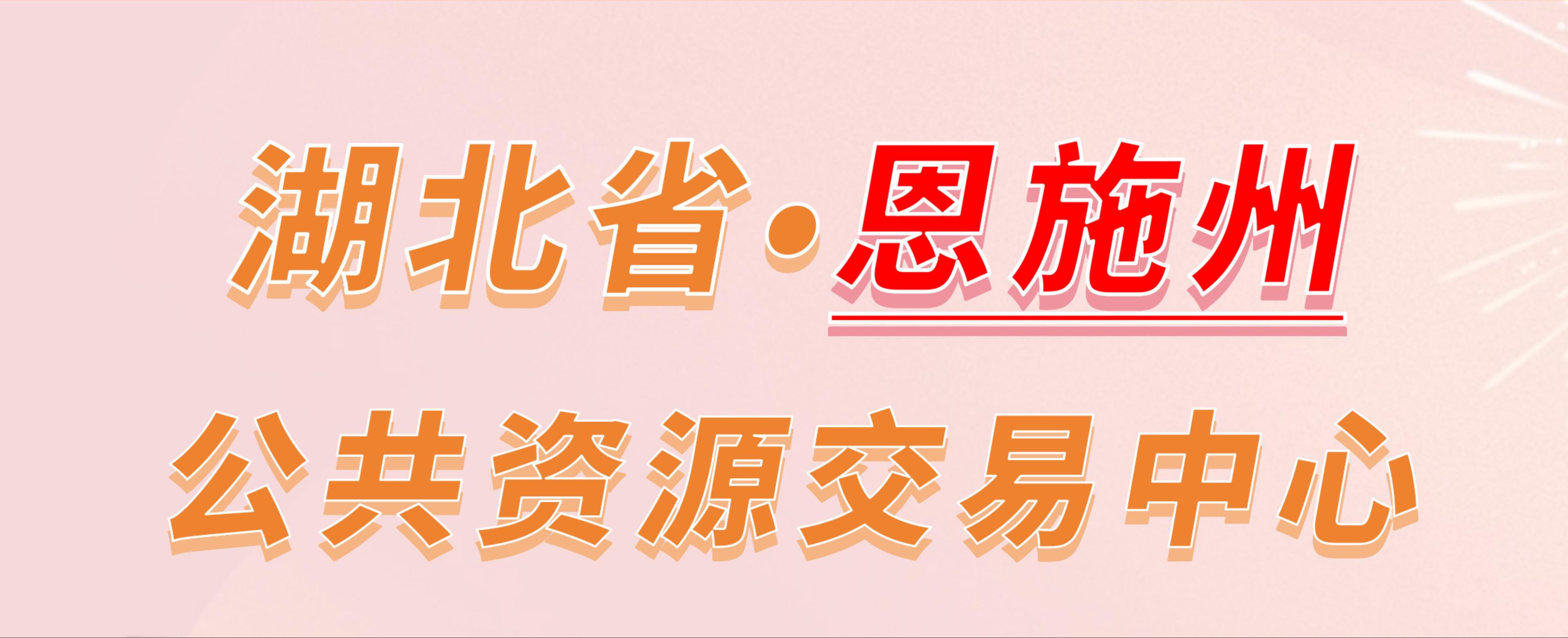 湖北省恩施州公共资源交易中心电子投标流程