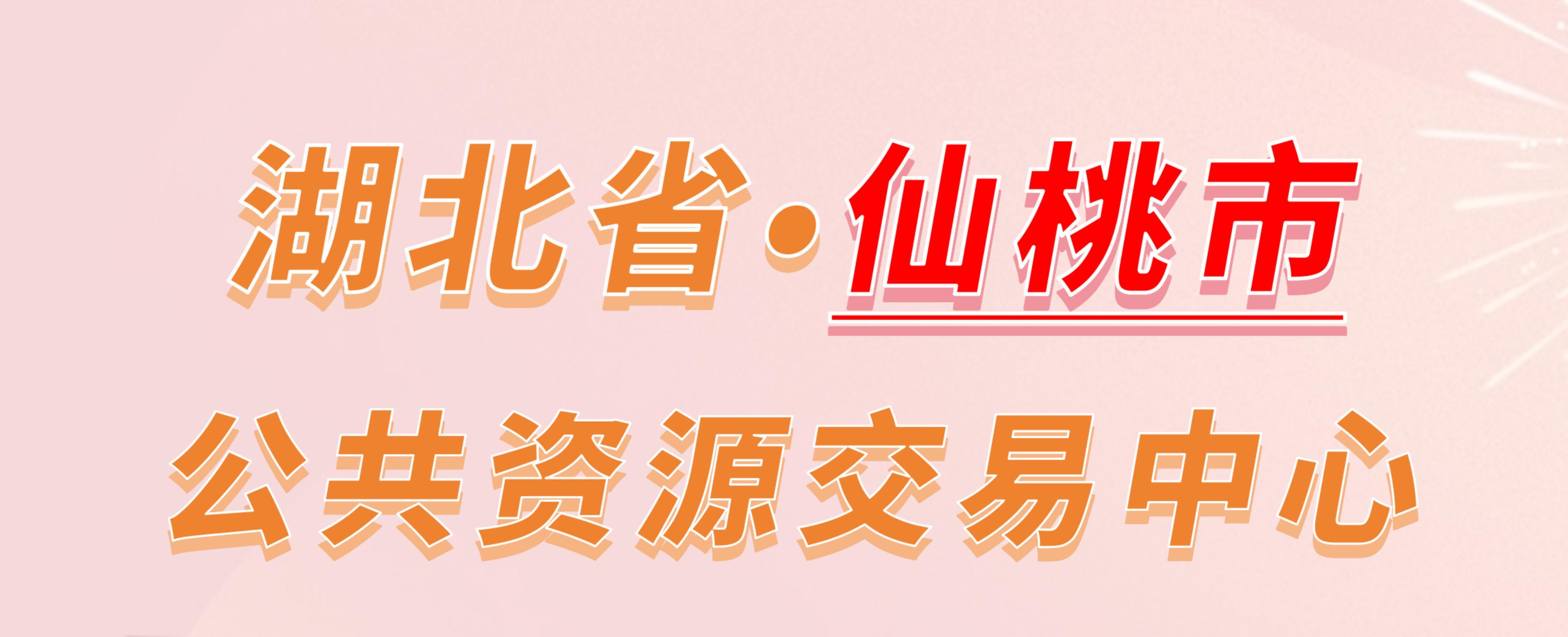 湖北省仙桃市公共资源交易中心电子投标流程