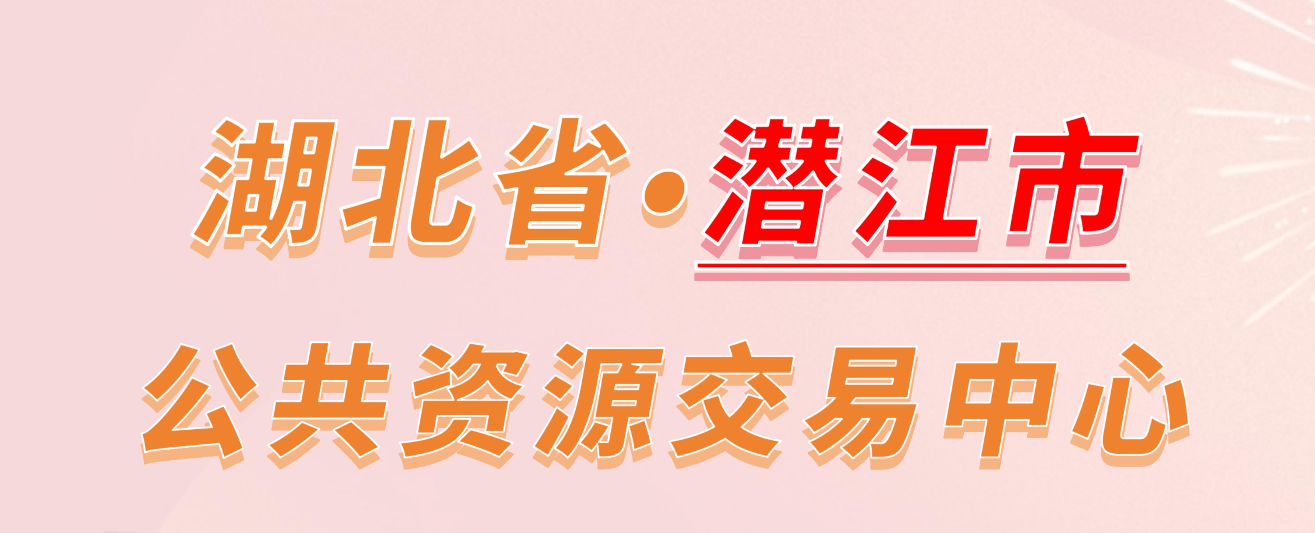 湖北省潜江市公共资源交易中心电子投标流程