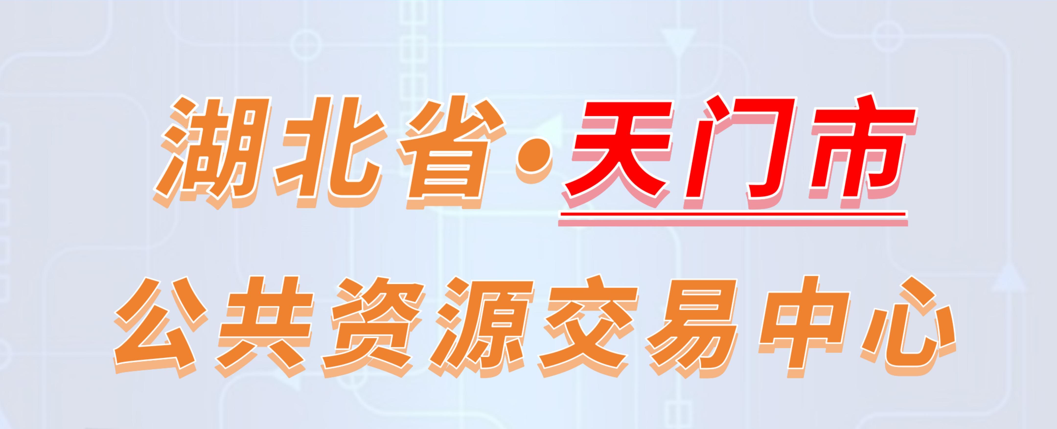 湖北省天门市公共资源交易中心电子投标流程