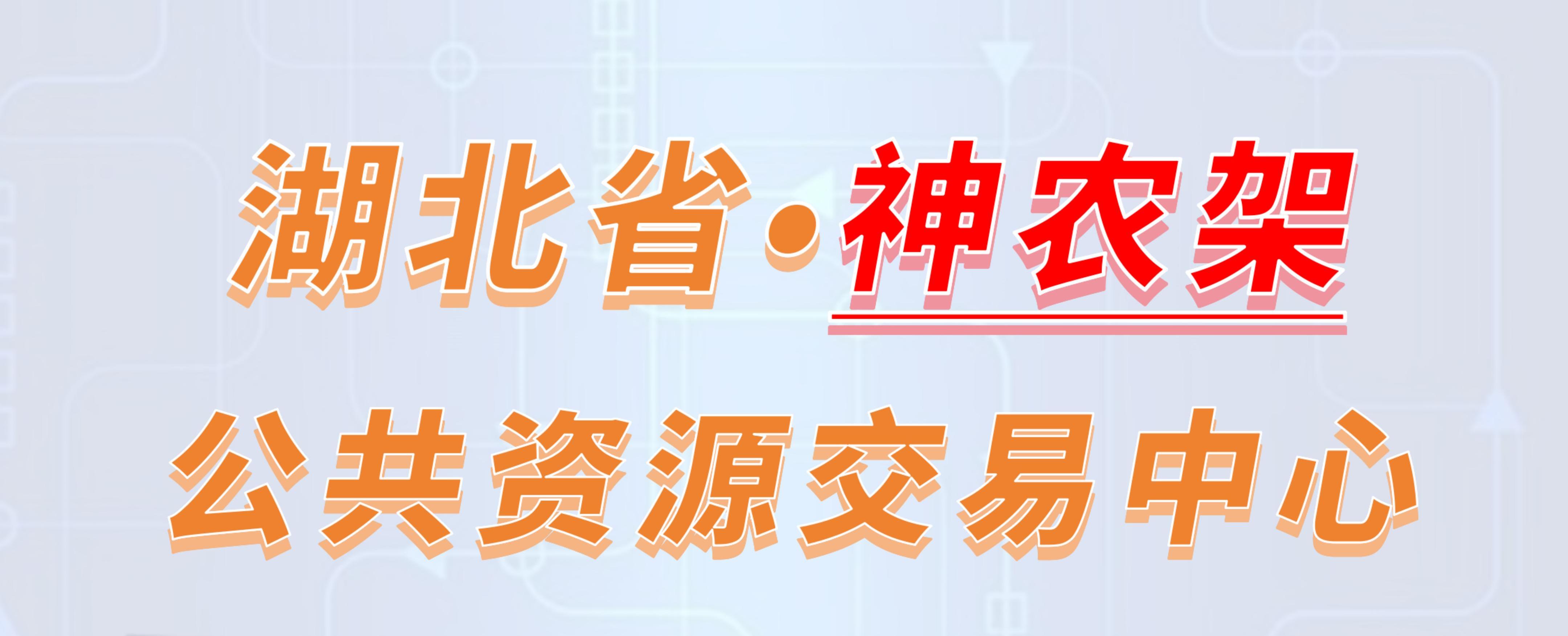 湖北省神农架公共资源交易中心电子投标流程