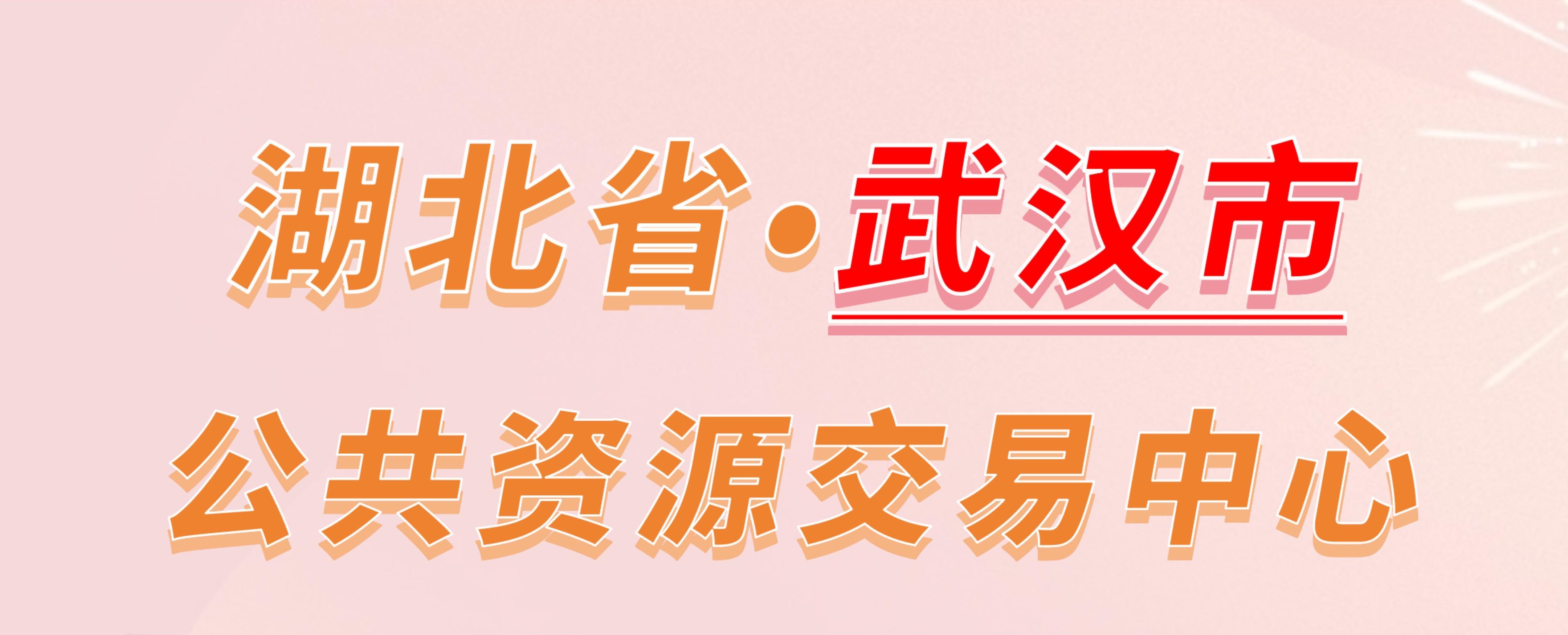 湖北省武汉市公共资源交易中心电子投标流程