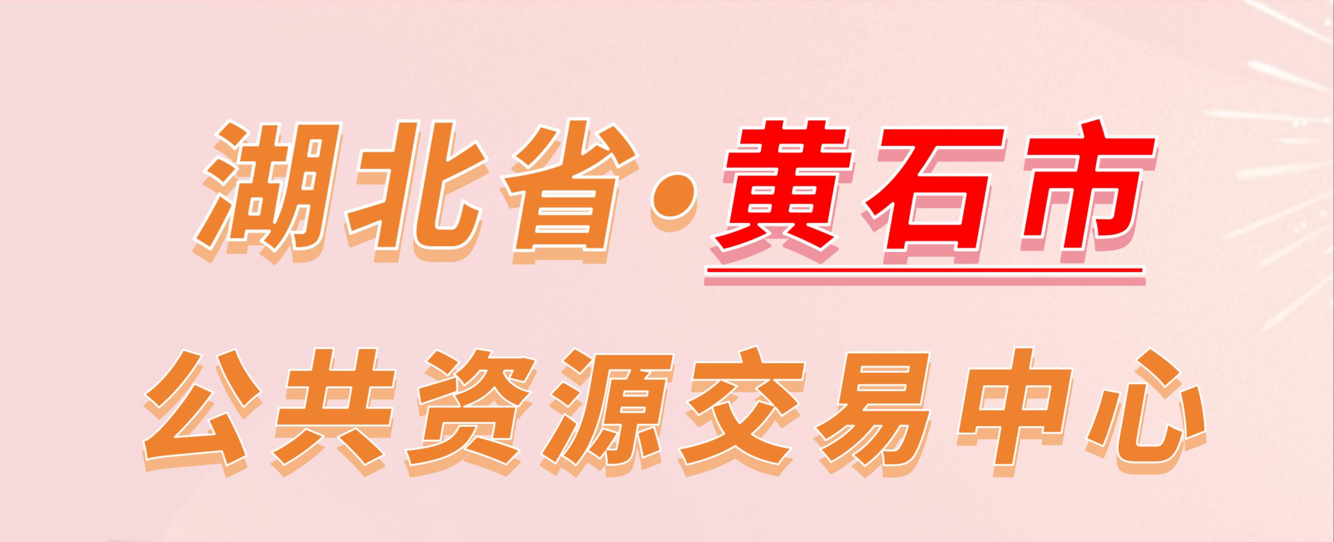 湖北省黄石市公共资源交易中心电子投标流程