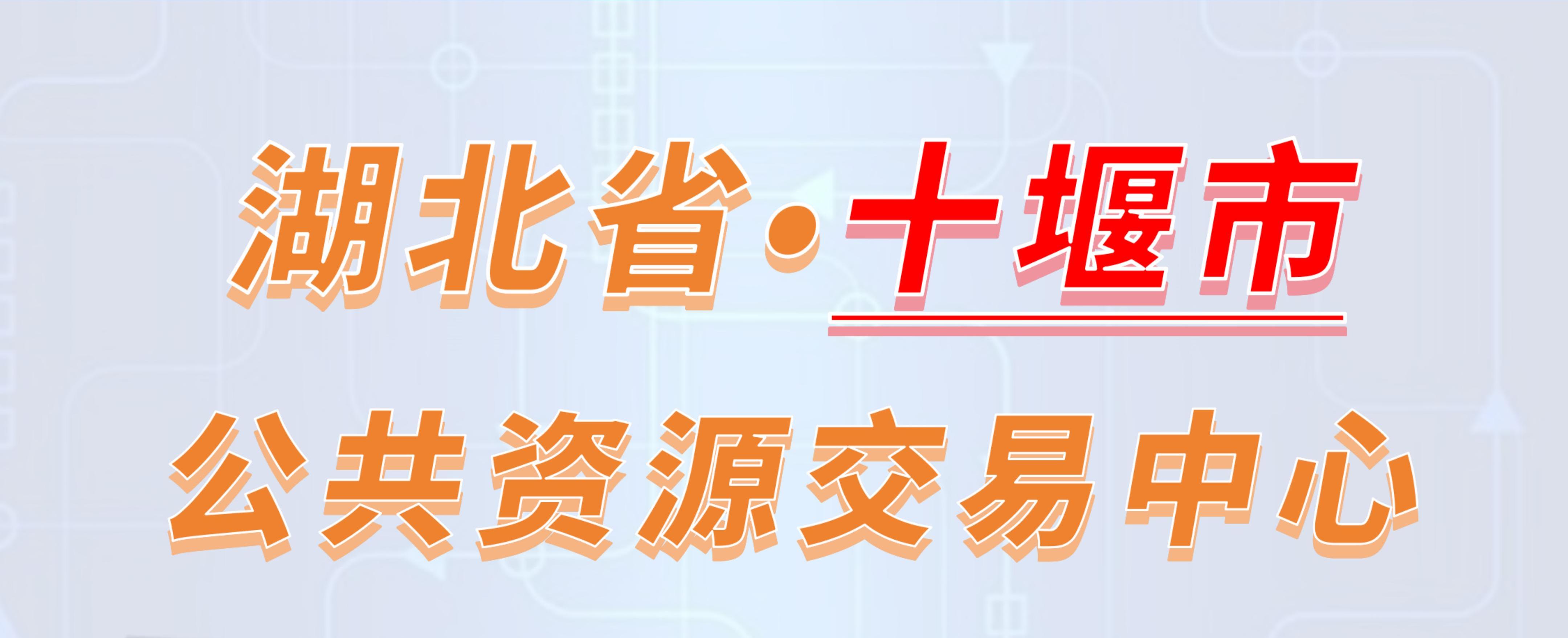 湖北省十堰市公共资源交易中心电子投标流程