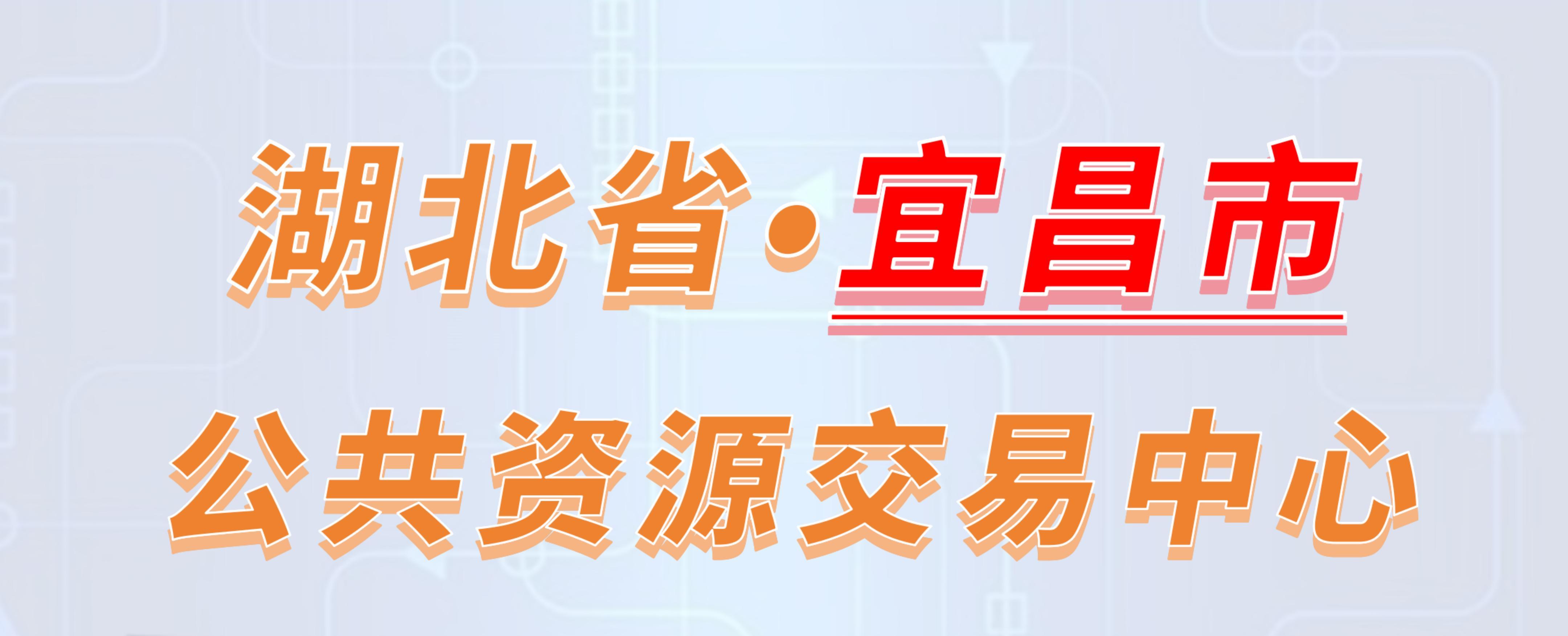 湖北省宜昌市公共资源交易中心电子投标流程