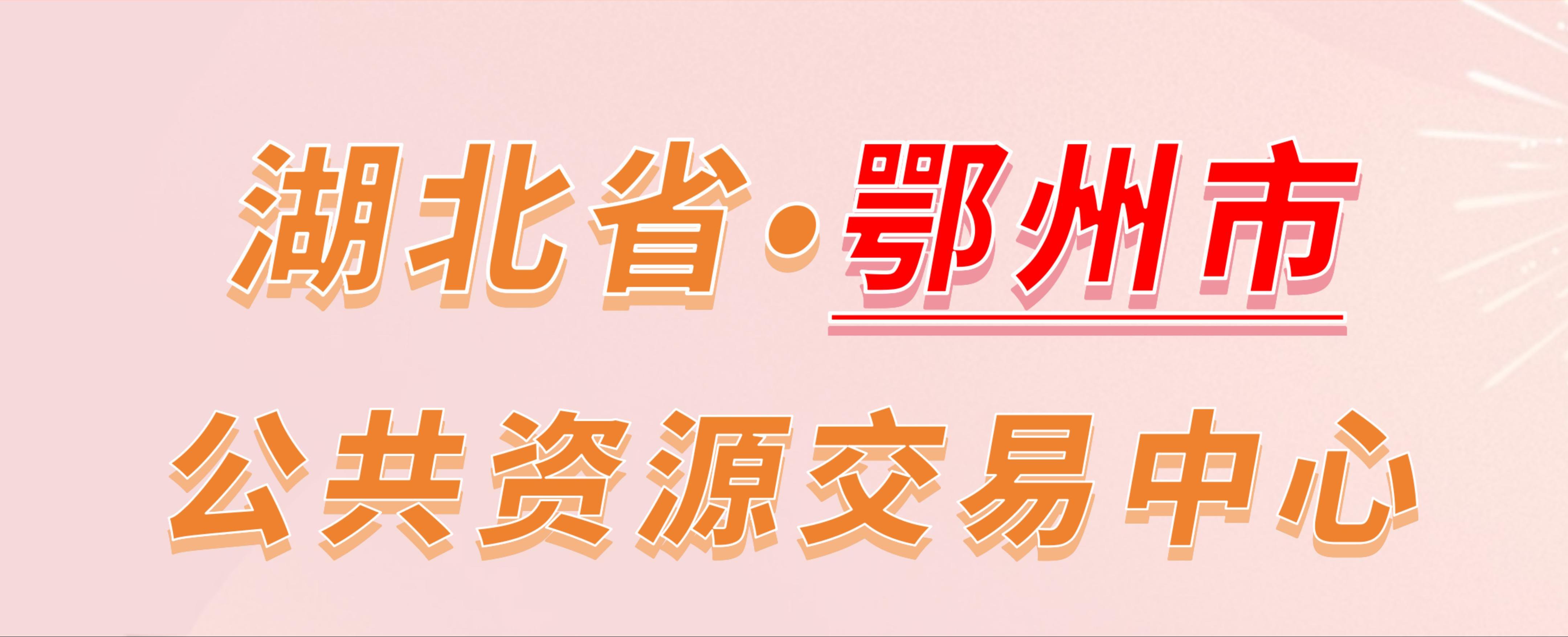 湖北省鄂州市公共资源交易中心电子投标流程