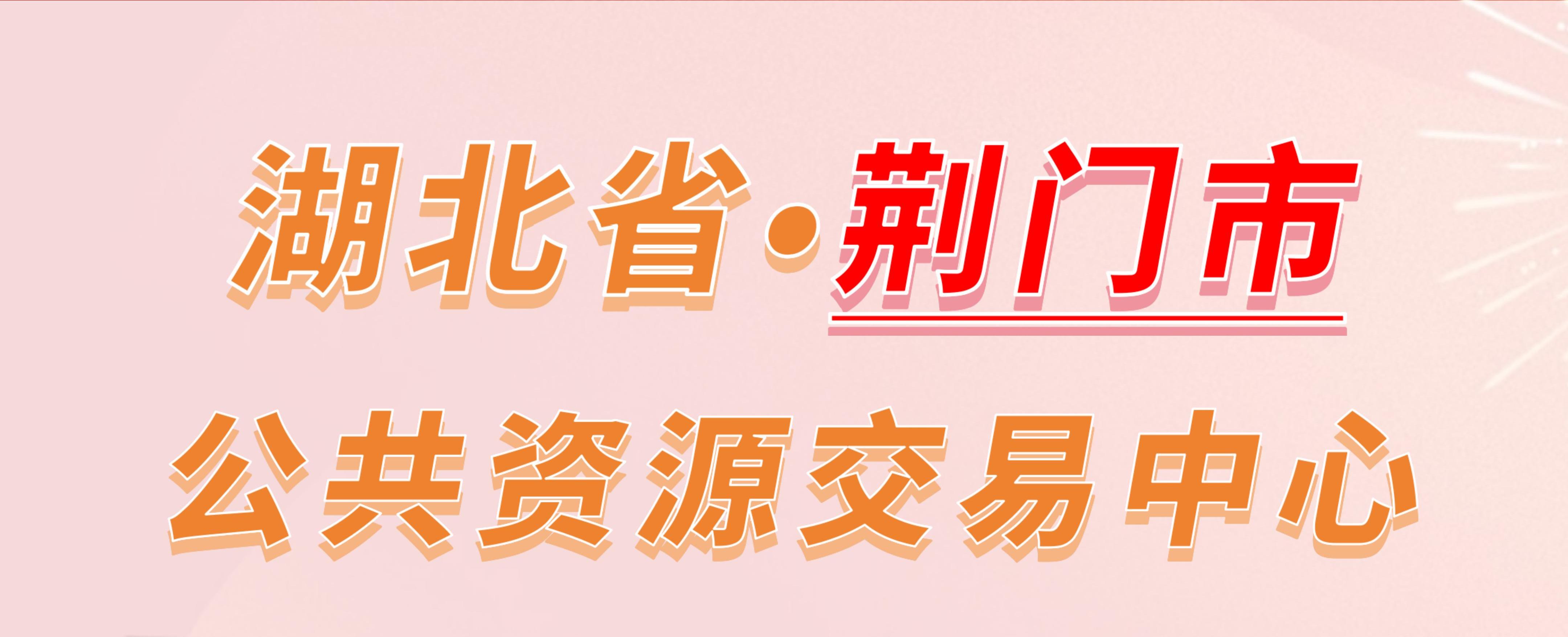 湖北省荆门市公共资源交易中心电子投标流程