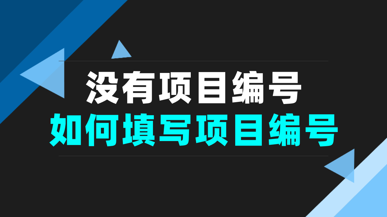这种项目编号你会不会填？标书制作教程全过程系列！