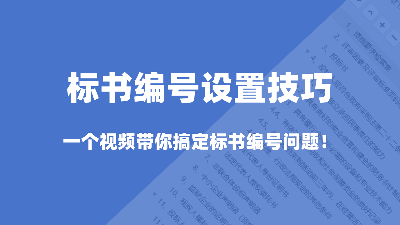 标书编号设置技巧，一个视频带你搞定标书编号问题！