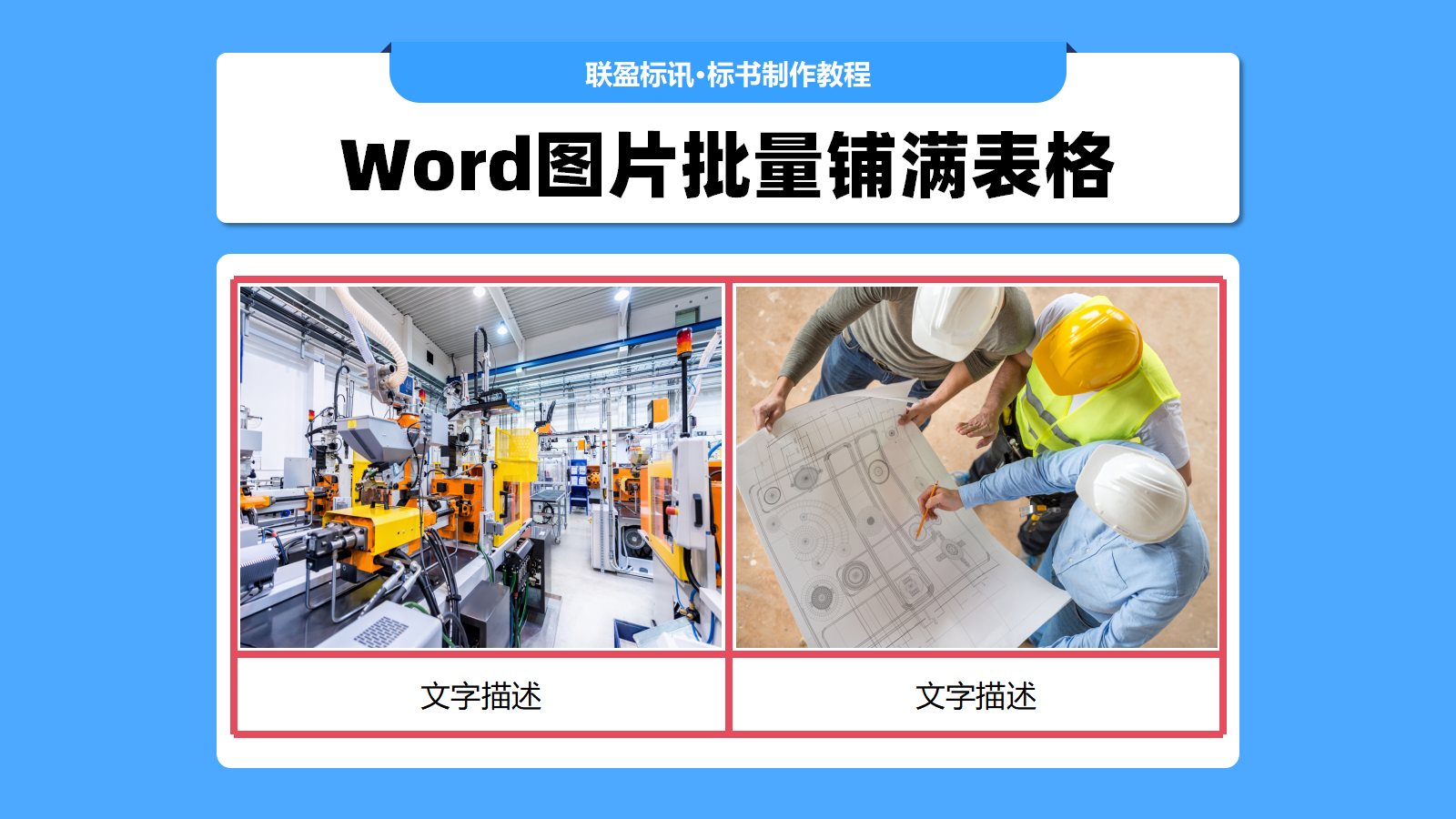 标书中图片铺满表格的方法（批量处理）